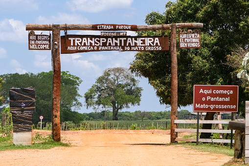 The Transpantaneira is an adventurous, in large parts dirt road with lots of wooden bridges in the Northern Pantanal Wetlands, gateway to a a nature paradise