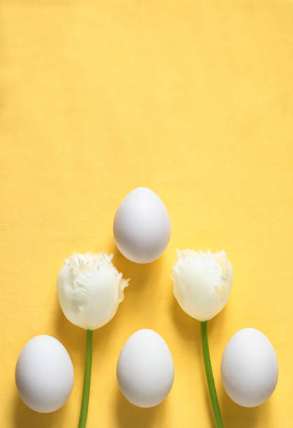 istock Minimalistic Easter flat lay with Easter eggs and white tulips on a yellow background. 1385925161