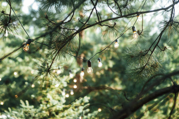 istock Decorative outdoor string lights hanging on tree in the garden at night time 1385929836