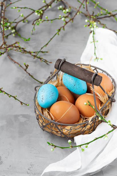 istock easter eggs in a basket with straw, standing among spring branches with young bright juicy green leaves on a gray concrete background 1385936306
