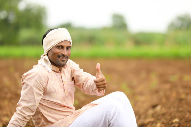 młody indyjski rolnik w tradycyjnym ubraniu i pokazujący tupoty na polu. - smiling human settlement traditional culture man made object zdjęcia i obrazy z banku zdjęć