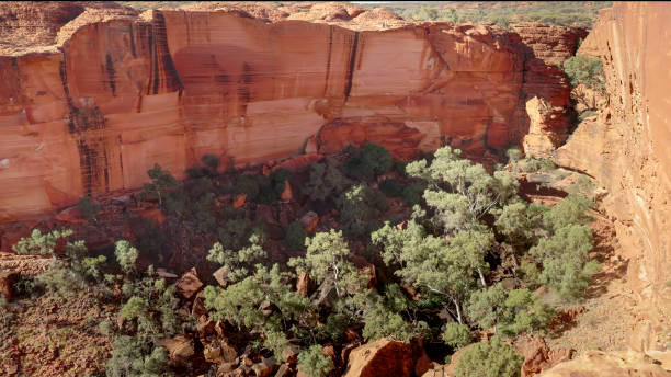 istock sandstone cliffs as viewed from the rim of kings canyon 1385941327