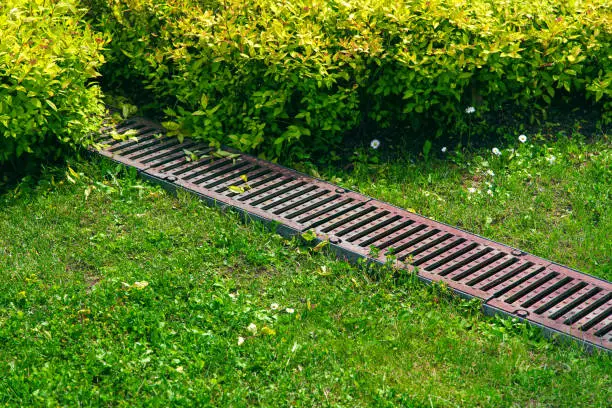 rusty grate drainage system on turf lawn with green grass and foliage bushes in the backyard garden, rainwater drainage system in the park among the plants lit by sun, nobody.