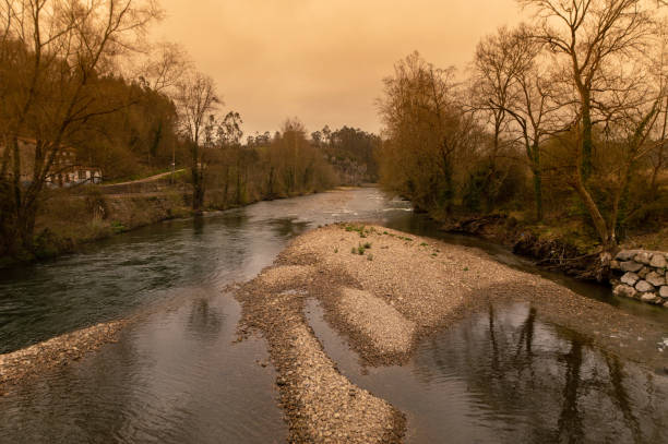 Wide river has flooded forest ground near river coast, landscape with water floods.