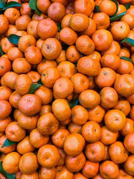 istock Vegetables and fruits 1385946806