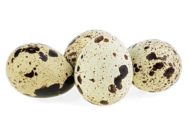 istock Set of quail eggs isolated on a white background. Group of quail eggs. 1385949800