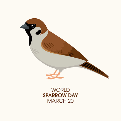 Cute brown-gray sparrow bird icon vector. Day to raise awareness and protect the house sparrows. Sparrow Day Poster, March 20. Important day