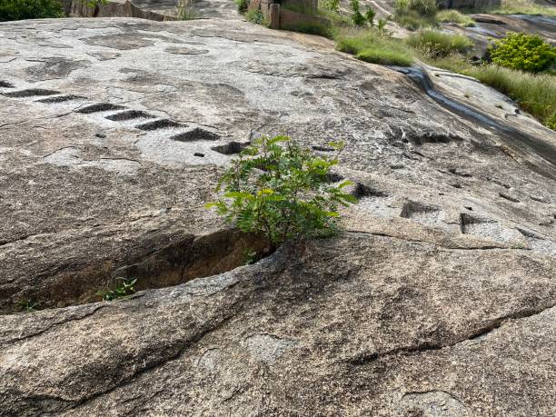 istock Ruins stairs on mountain rocks 1385959645