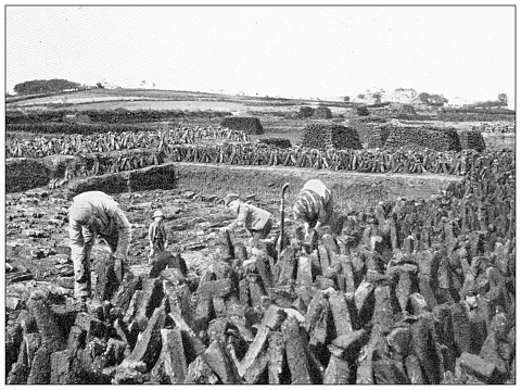 Antique travel photographs of Ireland: Cutting peat