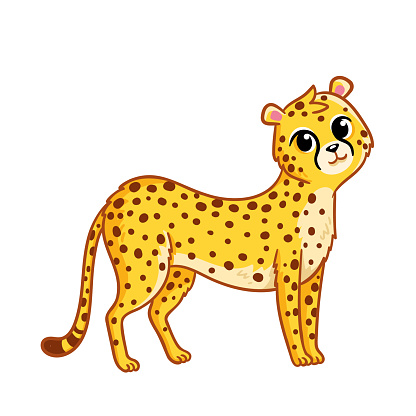 Cute cheetah stands on a white background. Vector illustration in cartoon style with an African animal.