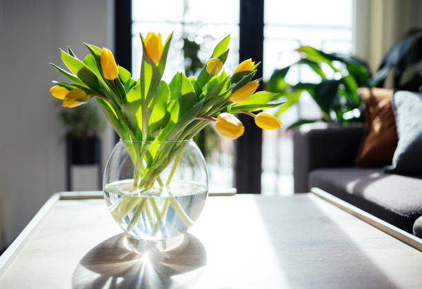 belles tulipes jaunes dans un vase. - flower gift decoration domestic room photos et images de collection