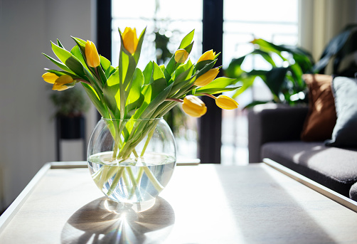 Beautiful yellow tulips in a vase.