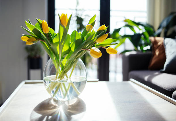 beautiful yellow tulips in a vase. - tulip vase flower spring imagens e fotografias de stock