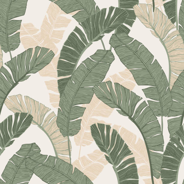 Green tropical leaves drawing seamless pattern. Green tropical leaves drawing seamless pattern. Abstract banana leaf line art, silhouette background. Creative tropics illustration for sweamwear, wallpaper, textile design. Botanical vector art banana leaf stock illustrations