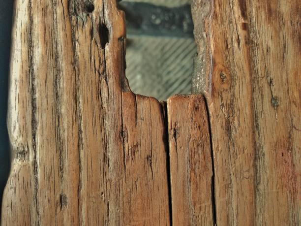 istock Wooden texture pattern background.wood material rough with blank or copy space 1385973685