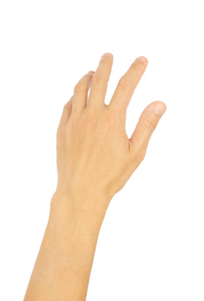 istock hand gestures, and masculine symbols 1385974256