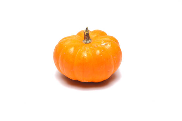colorful ripe pumpkins