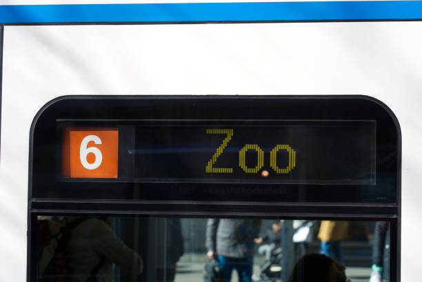 Close-up of tram line 6 destination Zoo at famous shopping mile Bahnhofstrasse at City of Zürich on a sunny spring day. Photo taken March 5th, 2022, Zurich, Switzerland.
