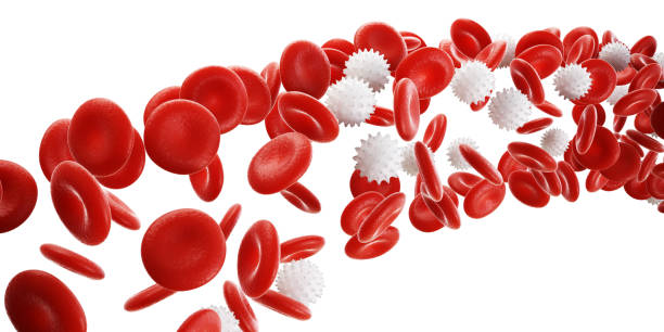 istock Red and White Blood Cells Vein Medicine science concept. 3d Render illustration. 3d render illustration 1385977168