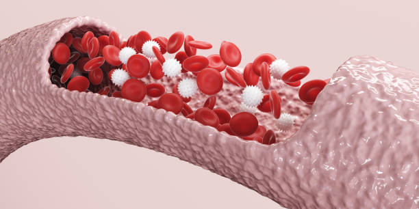 istock Red and White Blood Cells Vein Medicine science concept. 3d Render illustration. 3d render illustration 1385977239
