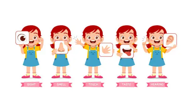 Vector illustration of little girl holding card about 5 sensory organ