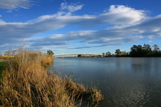 istock The Ebro River, Spain, December 2021 1385978565