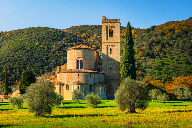 abbazia di sant'antimo. montalcino. toscana - tuscan cypress foto e immagini stock