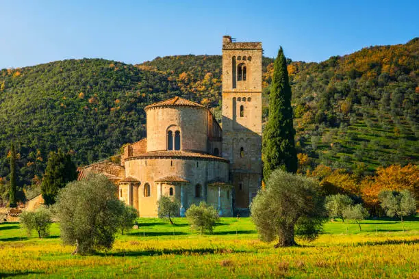 Sant Antimo abbey, olive and cypress trees. Montalcino. Tuscany, Italy