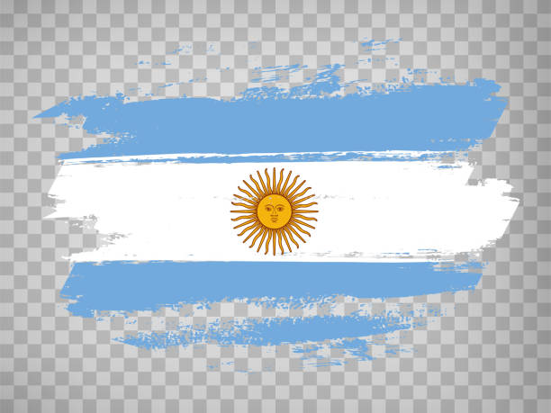 플래그 아르헨티나 브러시 스트로크 배경.  웹 사이트 디자인, 앱, ui에 대한 tranparent backrgound에 아르헨티나 공화국의 국기.  스톡 벡터. eps10. - argentina stock illustrations