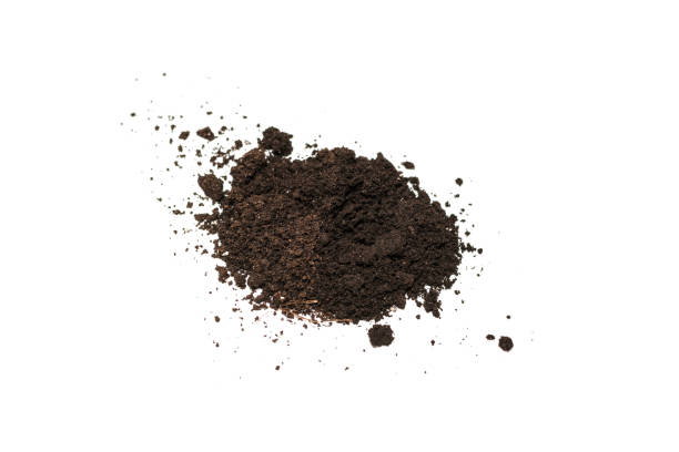 istock Black land for plant isolated on white background. 1385983509