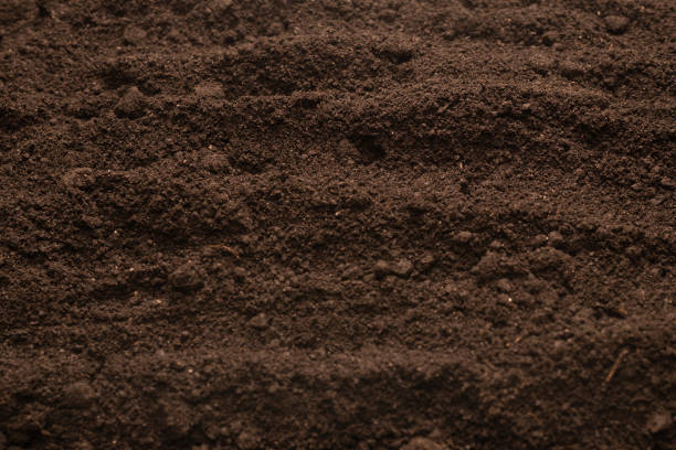 istock Black land for plant background. Top view. 1385983531