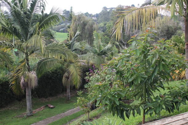 istock Countryside view in a farm 1385985765