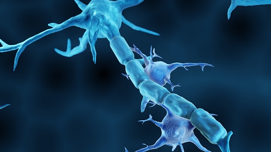 Microglia in pathogenesis of multiple sclerosis