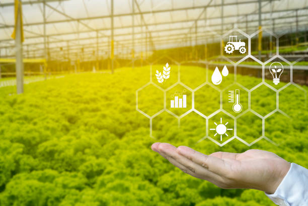 A hand holding a floating icon with a blurry background of green house farm.Concept of smart agriculture and modern technology. stock photo