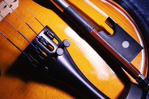 Closeup view on small violin, one half size, view on details.