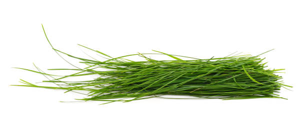istock Bunch of green grass. 1385997173