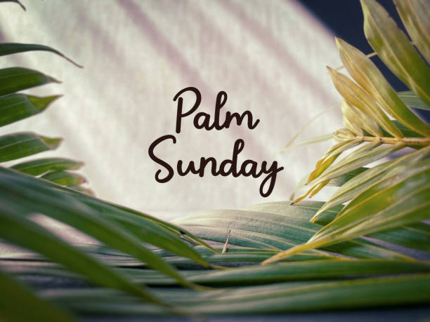 Lent Season,Holy Week and Good Friday Concepts Palm Sunday text background. Lent Season,Holy Week and Good Friday concepts. Stock photo. the passion of jesus stock pictures, royalty-free photos & images