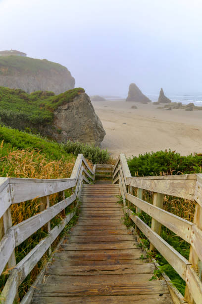 The Oregon coast offers many scenic views. Traveling along Highway 101 travelers can stop of one of the many vista points along the way.