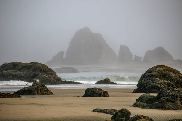 istock Wild southern Oregon coast in Bandon 1386007453