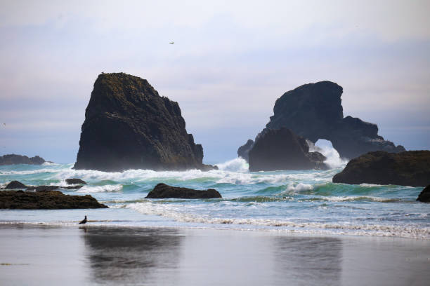 Rugged Oregon coast in summer