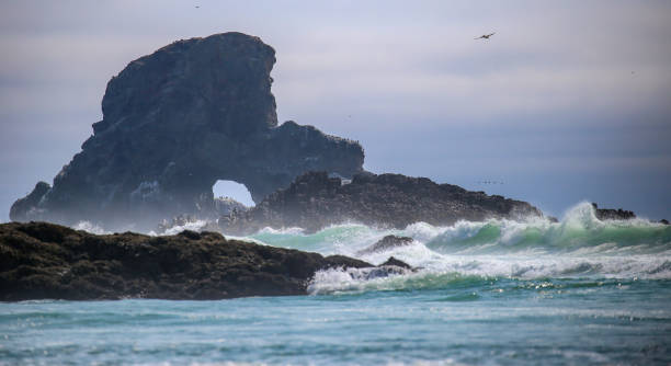 istock Indian Beach in Ecola State Park near Cannon Beach, Oregon 1386007607