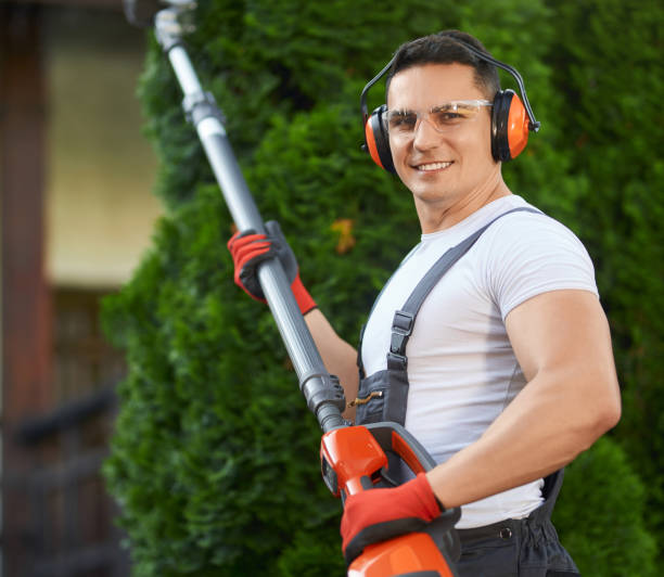 istock Man in uniform posing at garden with electric hedge trimmer 1386009316
