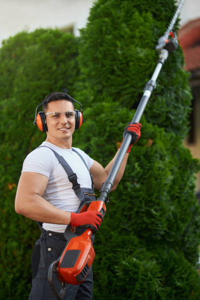 istock Gardener standing outdoors and holdig electric hedge trimmer 1386009478
