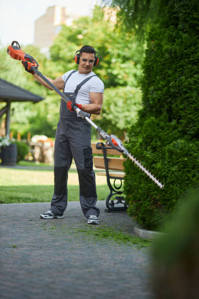istock Caucasian man in uniform shaping hedge with electric trimmer 1386009743
