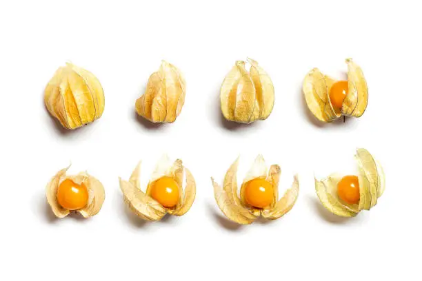 Physalis fruit or Physalis peruviana, small golden berries isolated on white background. Vegetarian and healthy food.