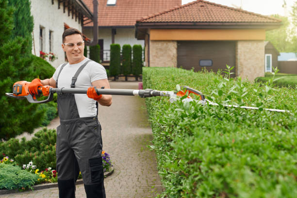istock Caucasian man in uniform trimming bushes at garden 1386018619
