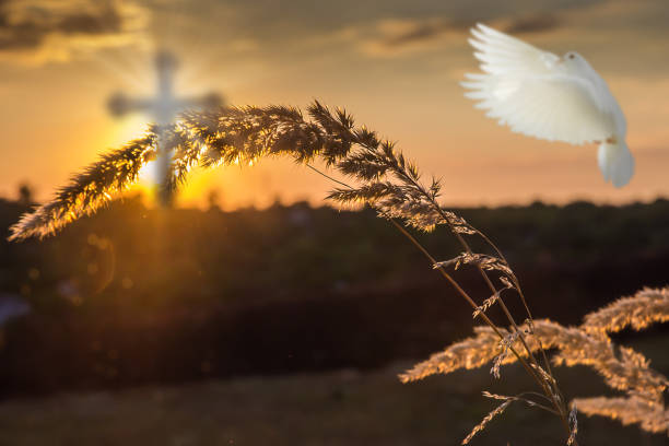 istock Silhouette christian cross behind grass at sunset background with miracle white dove. Easter and christian religion concept 1386026847