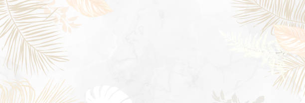 ilustraciones, imágenes clip art, dibujos animados e iconos de stock de lujoso marco de banner de diseño vectorial de moda beige y marrón. pasto de pampa pastel - autumn branch leaf backgrounds