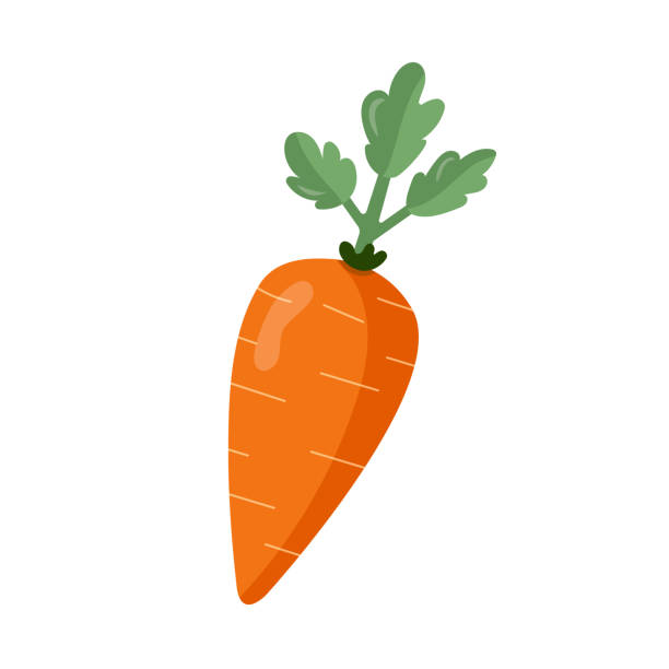 ilustrações, clipart, desenhos animados e ícones de cenoura laranja com folhas verdes - carrot isolated white carotene