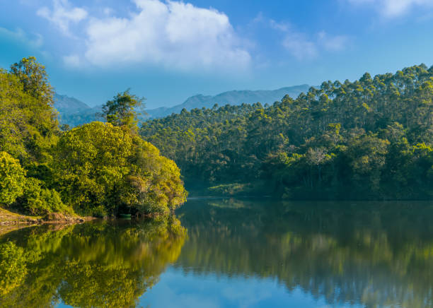 istock Early Morning Sunrise near beautiful backwaters 1386031358